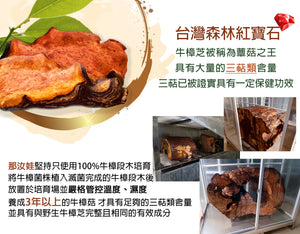 那汝娃牛樟傳奇膠囊(每小盒10顆)