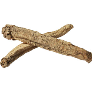 甘肅長黨參 (每兩)