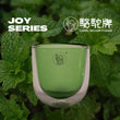 駱駝牌 Joy系列雙層玻璃迷你保溫杯180ml(綠色)